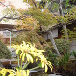 熱海　大観荘 - 庭園の趣き