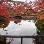 熱海　大観荘 - 渡り廊下から池を望む