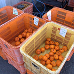 田舎の市場 - ポンカン