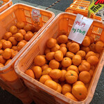 田舎の市場 - 中生