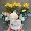 HiO ICE CREAM Atelier 自由が丘