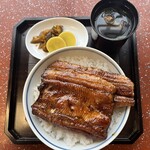 うなぎのまつ嘉 - うなぎ丼