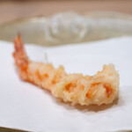 うを徳 - 2024.1 車海老