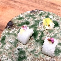かま叶 - アオリイカのサルサヴェルデ