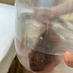 ウシマル - カサゴ