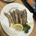 魚太郎 市場食堂 - 