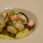 ファロ　デル　ポニエンテ - 