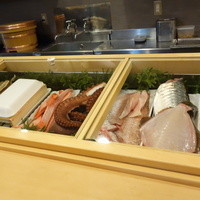 すし処 睦月 - 美味しそうな魚が並びます