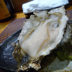 味浪漫 - 生牡蠣　ズームアップ