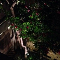 よし梅 芳町亭 - 