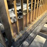 アパートメント - 