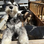 アパートメント - 