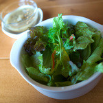 Nord - カレーについてきたサラダ。キレイです！