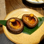 囲炉裏とおばんざい101 - 