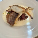 ア ミオ アージョ - 