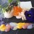 スカイレストラン ロンド - 料理写真:季の梅　京都プラムアンドベリーリキュールと中標津のヨーグルトのシート　海のマリネ