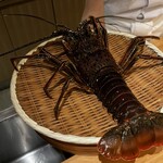 御料理 まつ山 - 