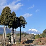 小田急 山のホテル - ホテルのお庭から