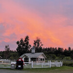 ファームレストラン千代田 - 