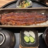 うなぎ四代目菊川 ミッドランドスクエア 名古屋本店 - 