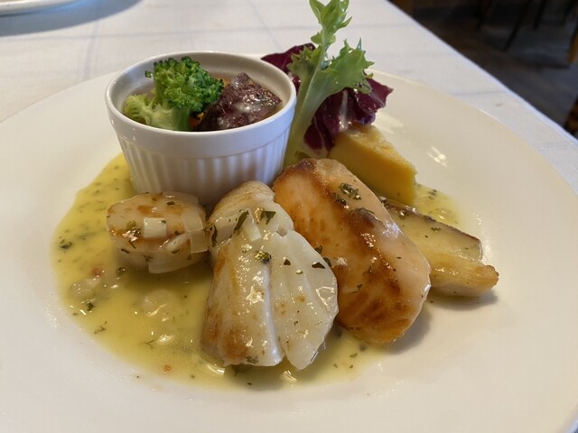 コットンクロス