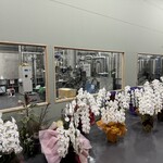 バンリノハル ビアホール - ブルワリー