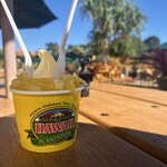 Dole Plantation - 