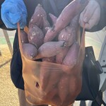 蔵出・焼き芋 かいつか - 