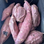 蔵出・焼き芋 かいつか - 