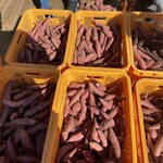 蔵出・焼き芋 かいつか - 