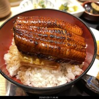 焼きふぐ 優ふく 北新地店 - 