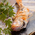 Gochikiki - 天然の旬の魚の深い味わいを堪能できる料理の数々
