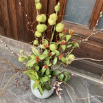 野菜が主役の古民家レストラン 花果菜 - 