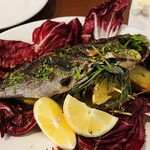 トラットリア・築地パラディーゾ - 