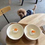 107cafe+dogs - 