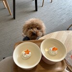 107cafe+dogs - 