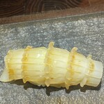 鮨ノ蔵 - ヤリイカ