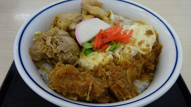 Katsuya Osaka Habikino Ten photo 5