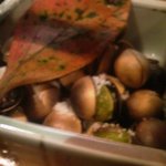 申子 - 銀杏、焼