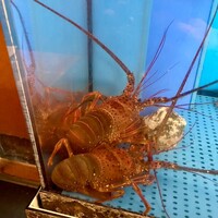 ラ・グランターブル ドゥ キタムラ - 