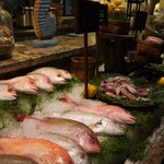 Kisik Bar and Grill  - 