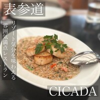 CICADA - 