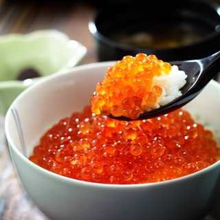 いくら丼 旨い魚と肴 北の幸 釧路港_0