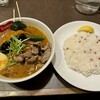 スープカレー スアゲ4