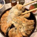 Hakata Gion Tetsunabe - 焼餃子