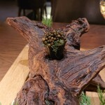 NAWA - 地元のオレンジ、ホアヒン キャビア