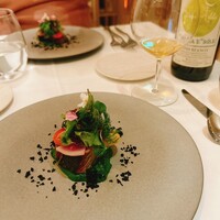 ARMONICO - 