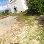 ブルータートル - 