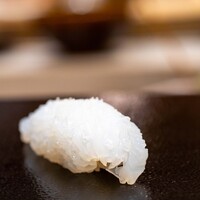 すし 良月 - 2024.1 アオリイカ