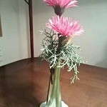 ふくの季 - 24回目Fleur